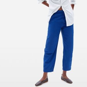 Everlane Arc Canvas Pant in Cobalt